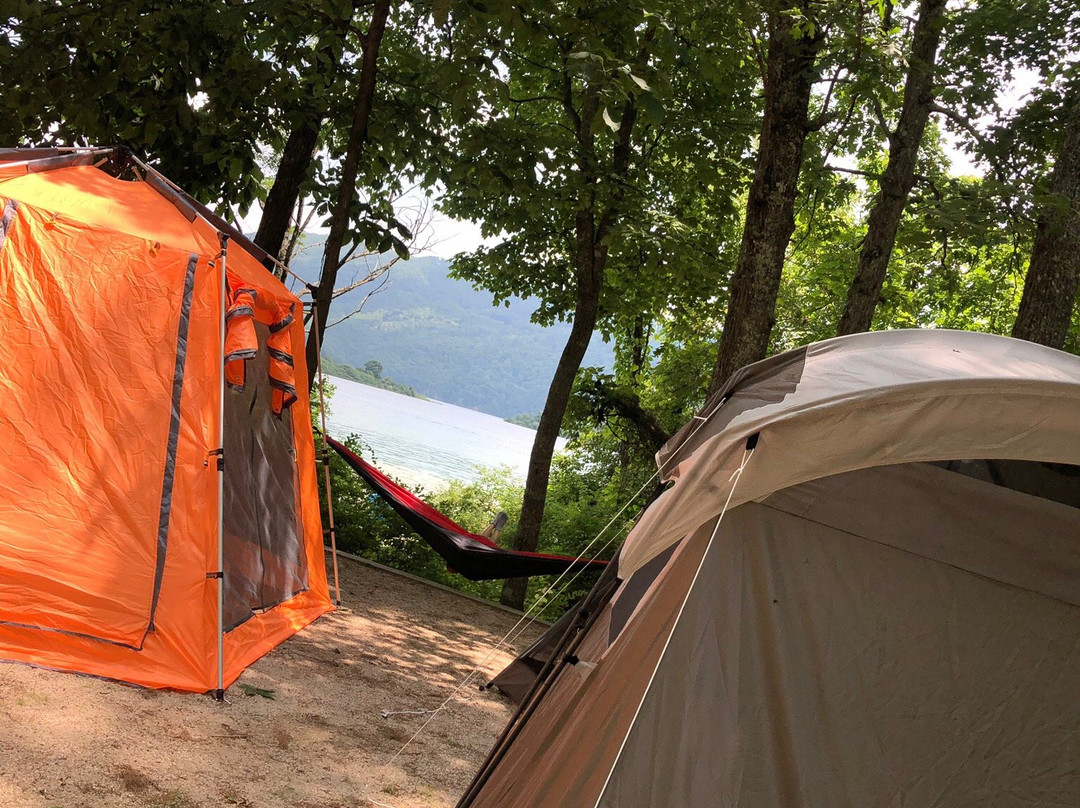 George Washington & Jefferson National Forests-Millboro必去景点