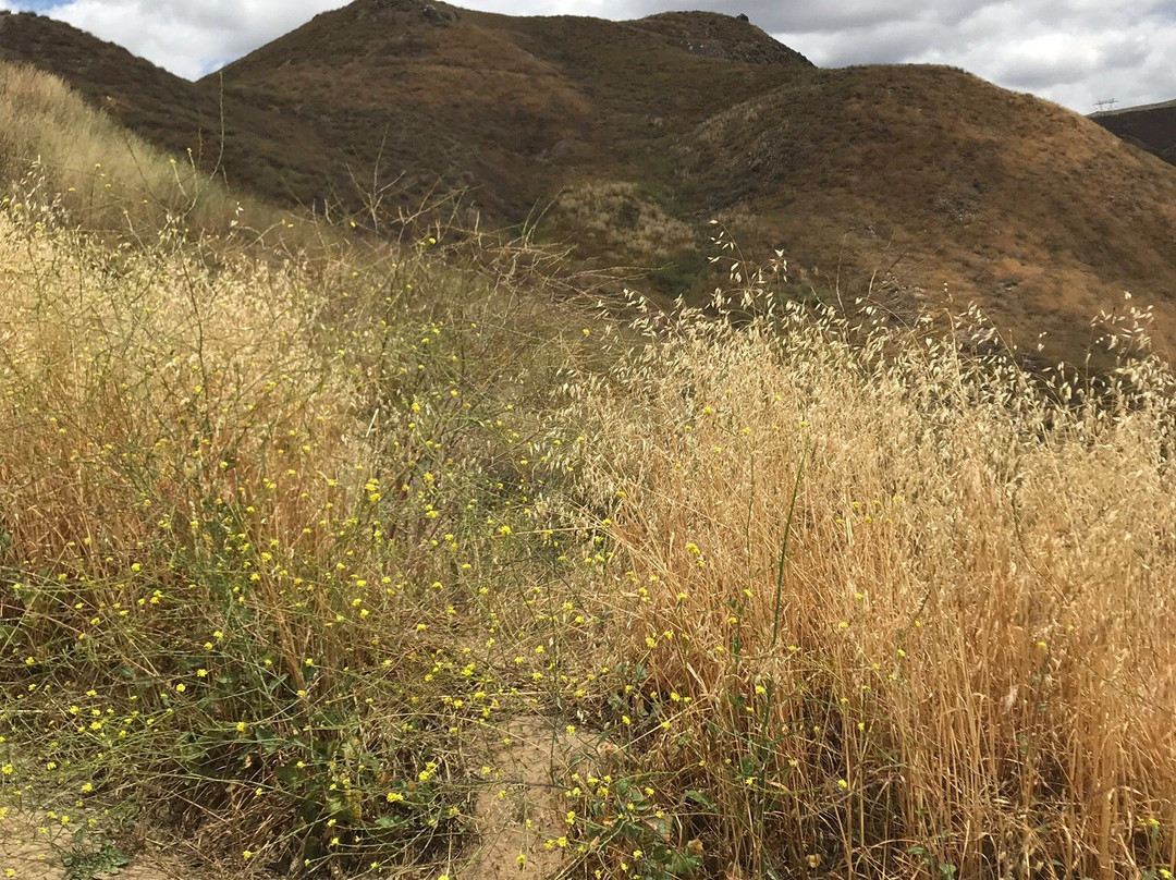 Walker Canyon Trailhead-埃尔西诺湖必去景点