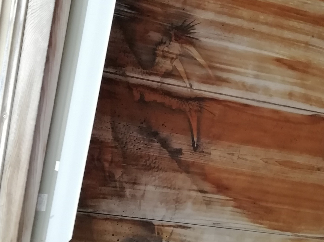 Tairyu-ji Temple Jibutsudo Tenjoga-阿南市必去景点