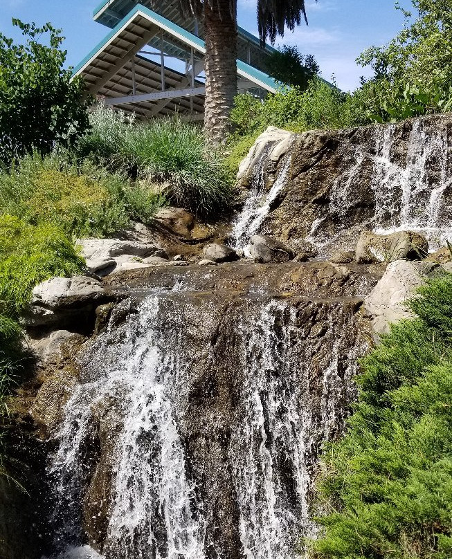 Arboretum And Botanical Garden At Cal State Fullerton-富乐顿必去景点