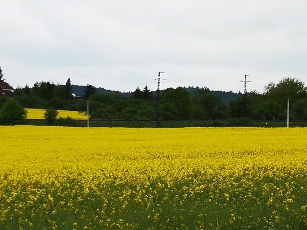 Weissenstadt am See Kurzentrum主图