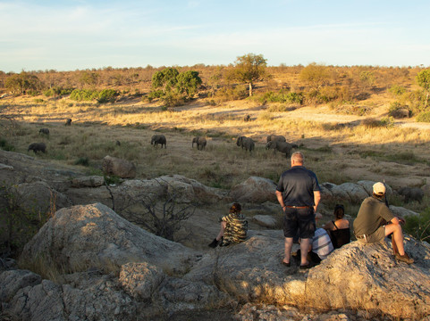 Natural Earth Safaris-霍德斯普鲁特必去景点