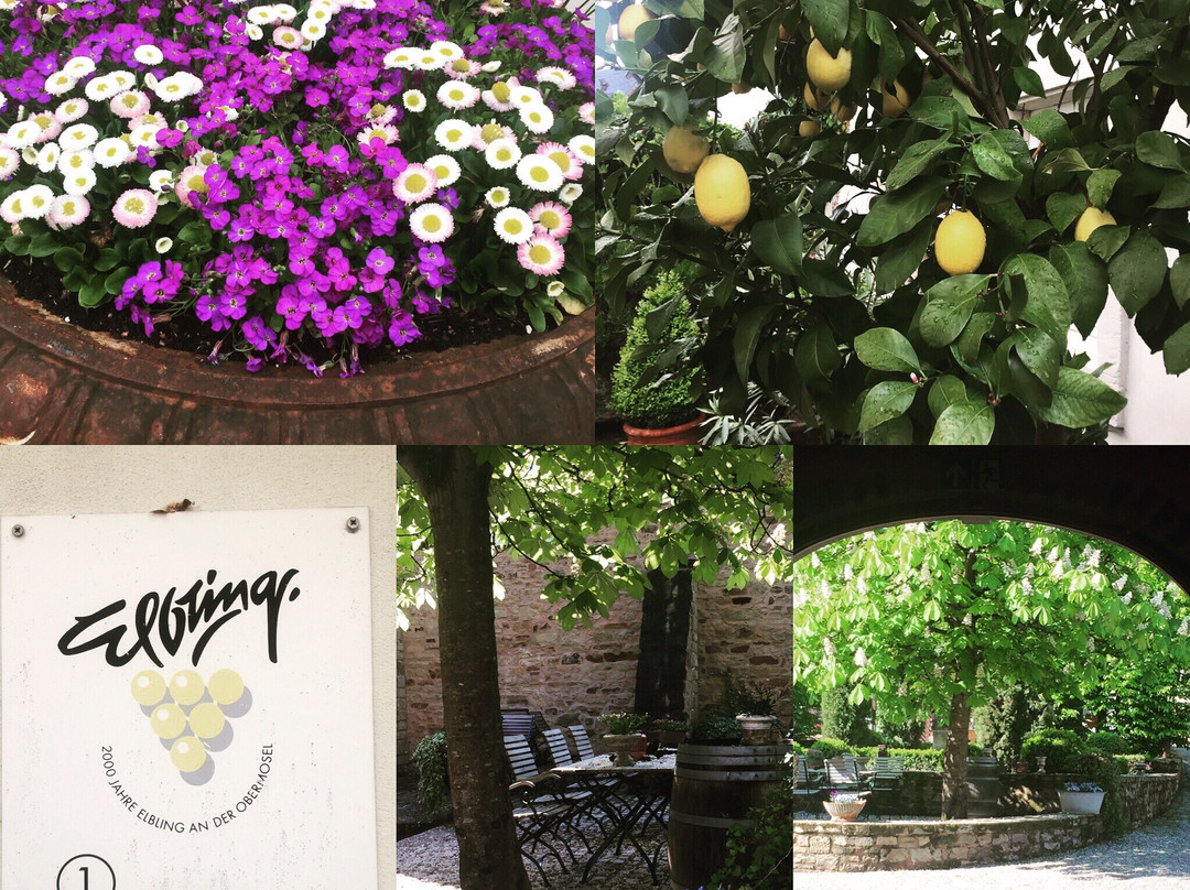 Weingut & Gastehaus GiwerGreif主图
