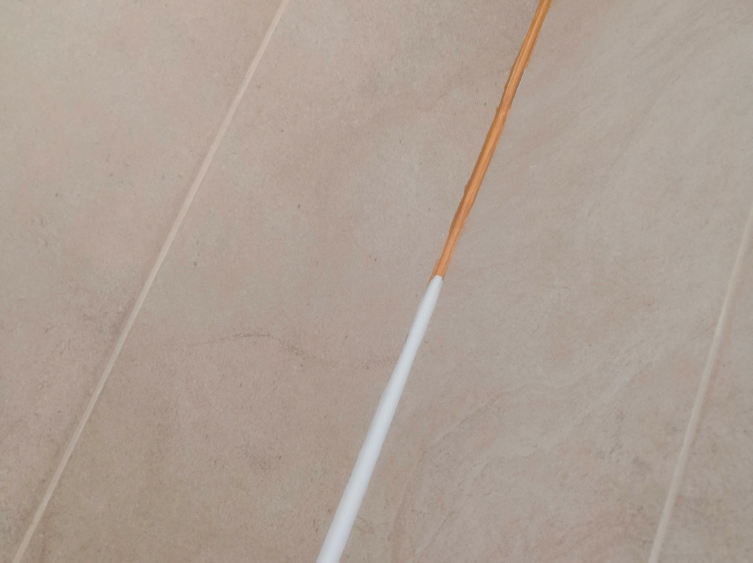 Fiera Milano Hotel主图