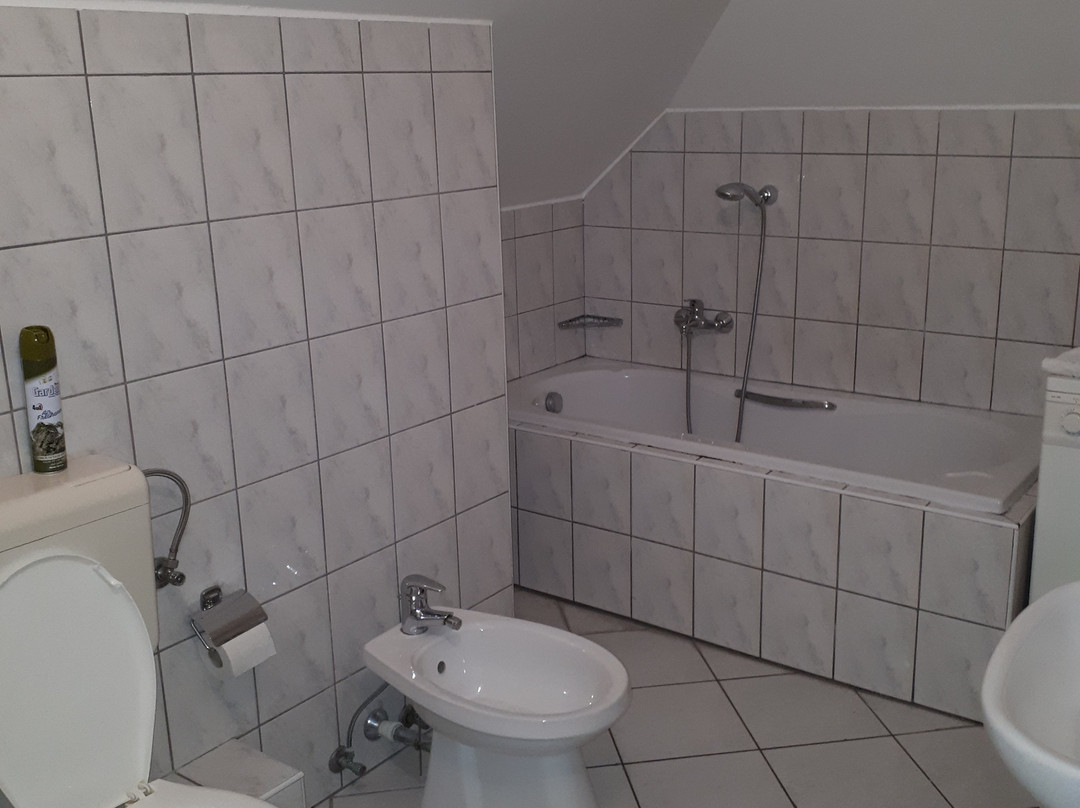 Ovar Apartman Hotel主图