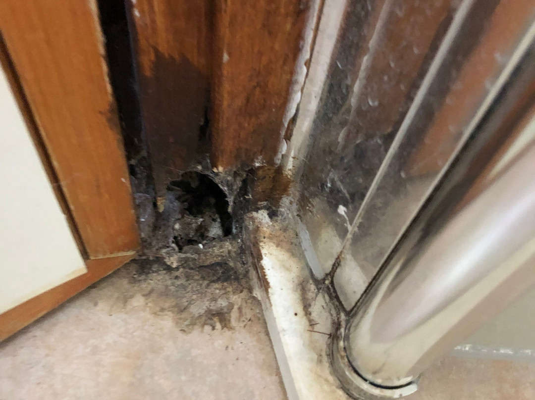 Kibbutz Manara Country Lodge主图