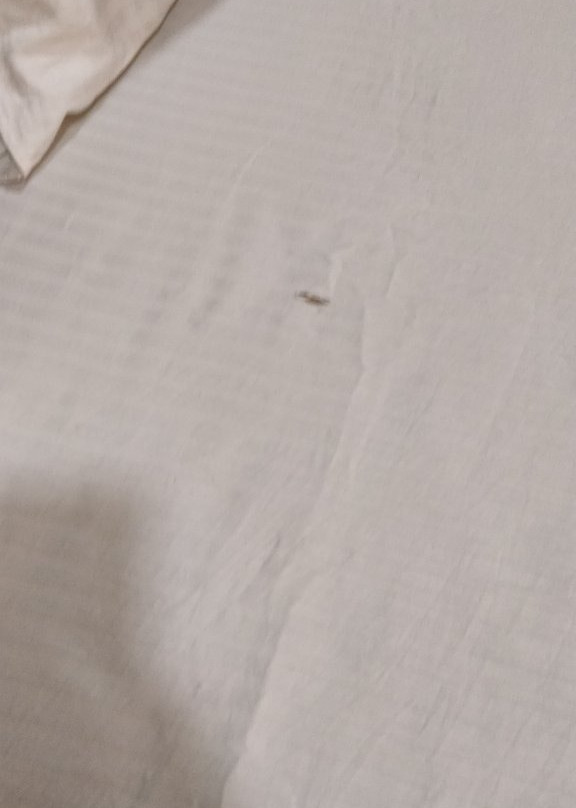 Treebo Trend JD Residency主图