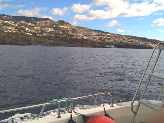 Madeira Sport Fishing-沙尔必去景点
