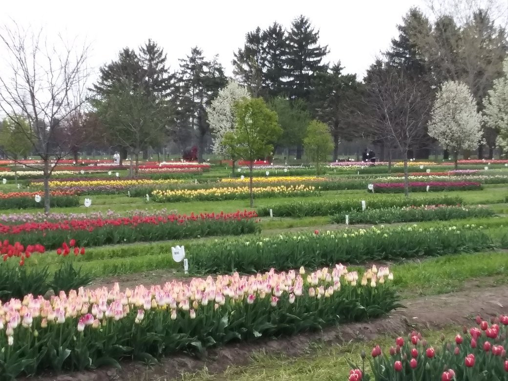 Van Raalte Farm-荷兰村必去景点