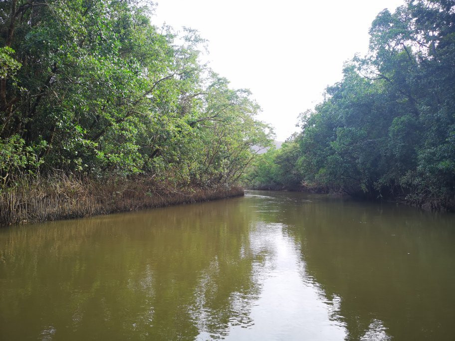 Jungle Tours And Trekking景点图片