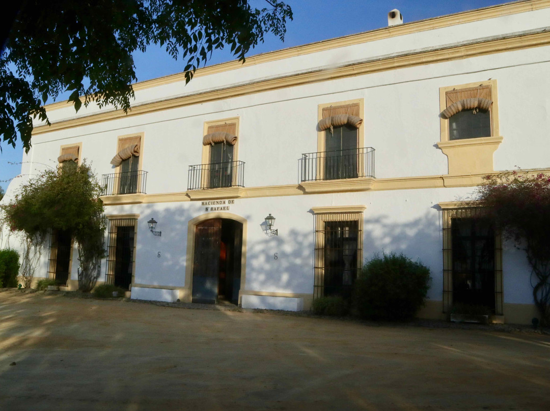 Hacienda de San Rafael主图