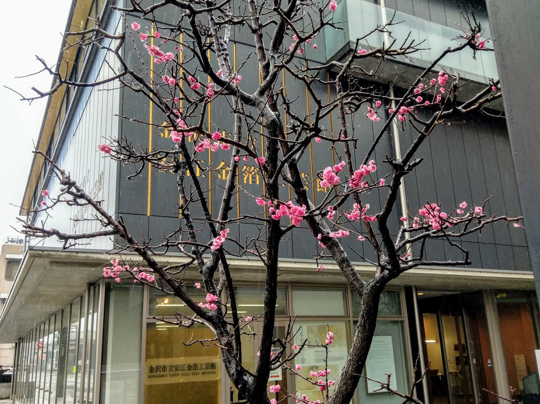 Kanazawa Yasue Gold Leaf Museum-金泽市必去景点