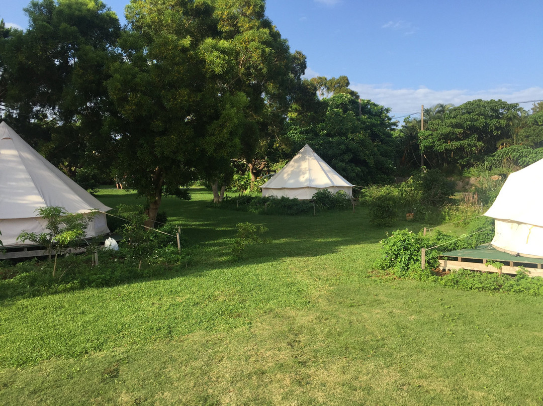 Pension Prussian Blue主图