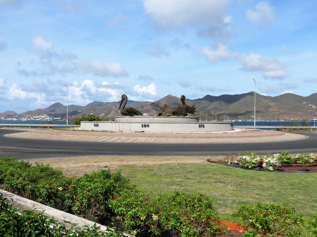 Brown Pelicans-辛普森湾必去景点