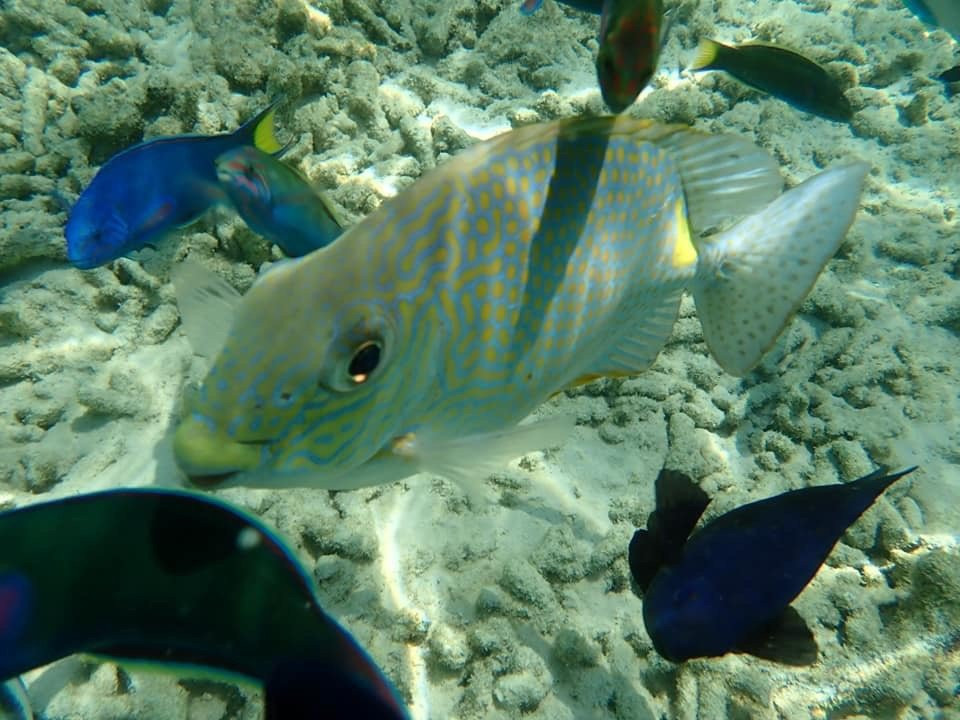 热浪岛海洋生态公园-热浪岛必去景点