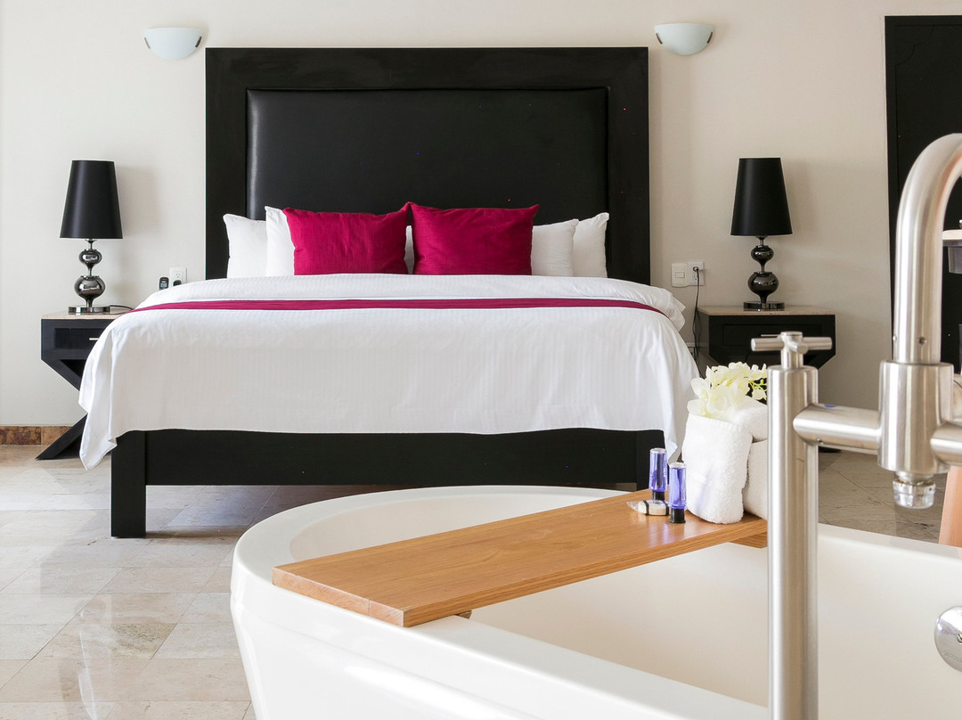 Hotel Real de Minas Poliforum主图