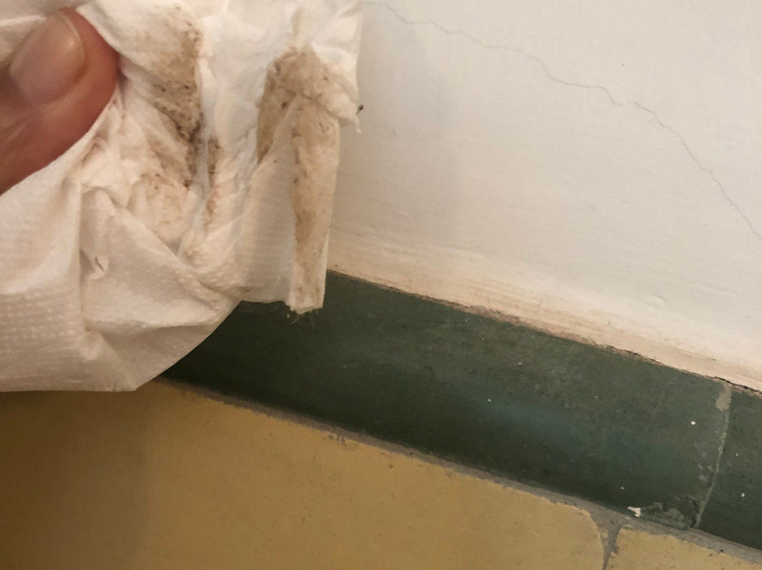 Pousada do Ipe主图