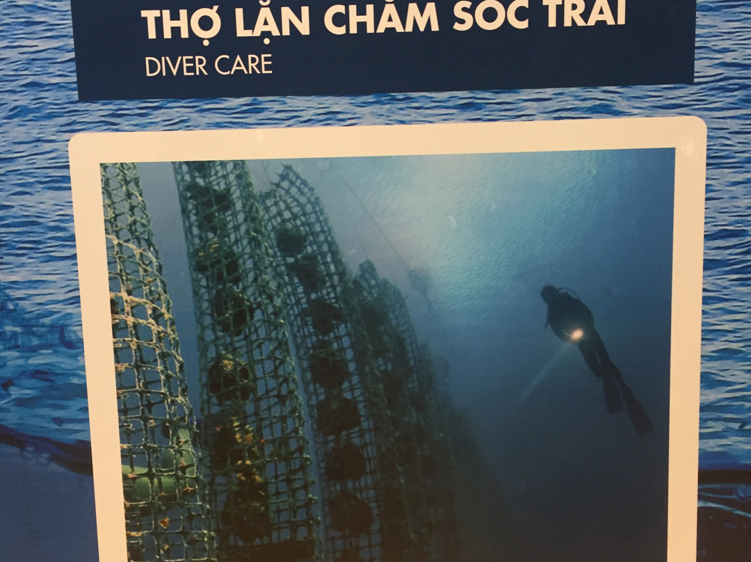 Long Beach pearl-美奈必去景点