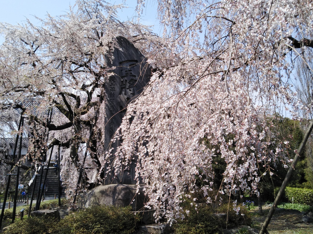 Togo-ji Temple-府中市必去景点