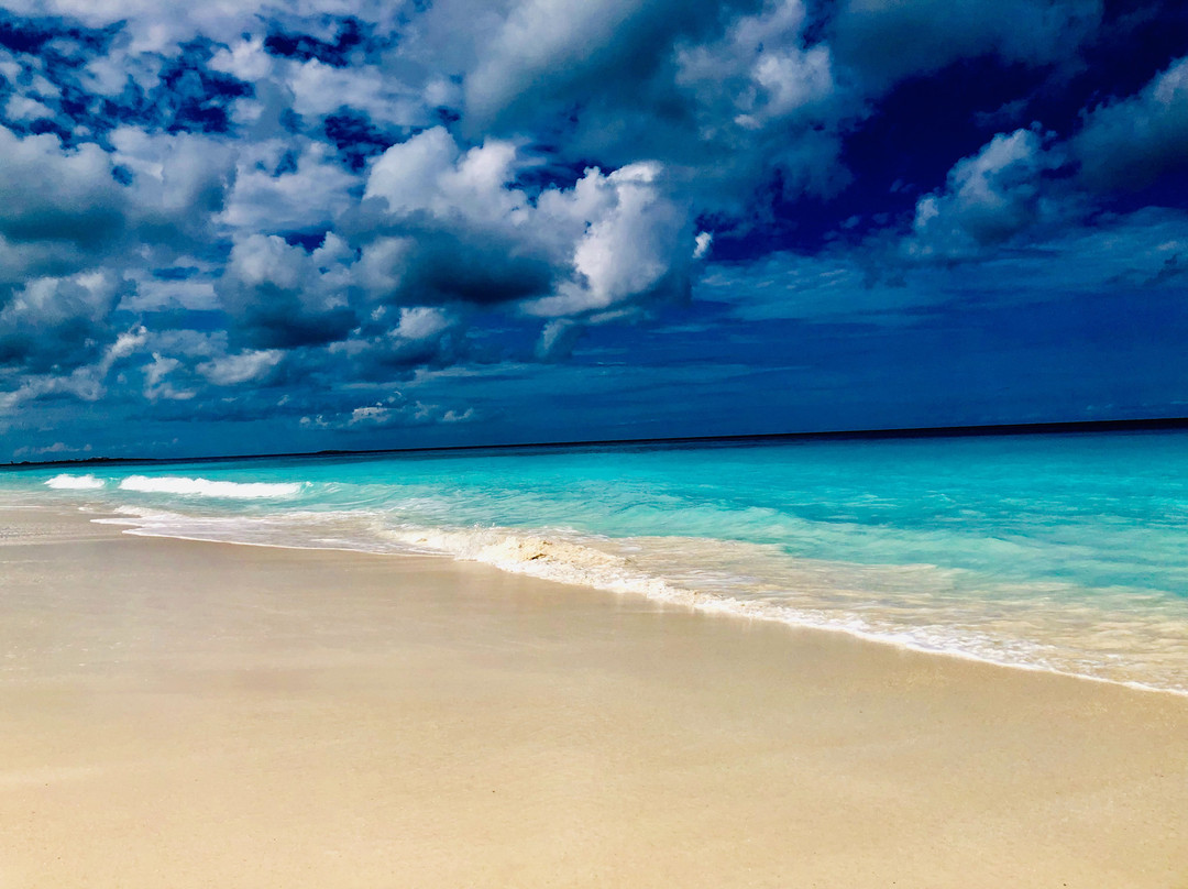 埃克苏马棕榈树酒店主图