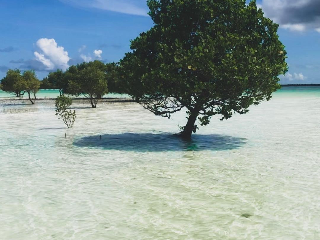 ahmed adventure tour-帕杰必去景点