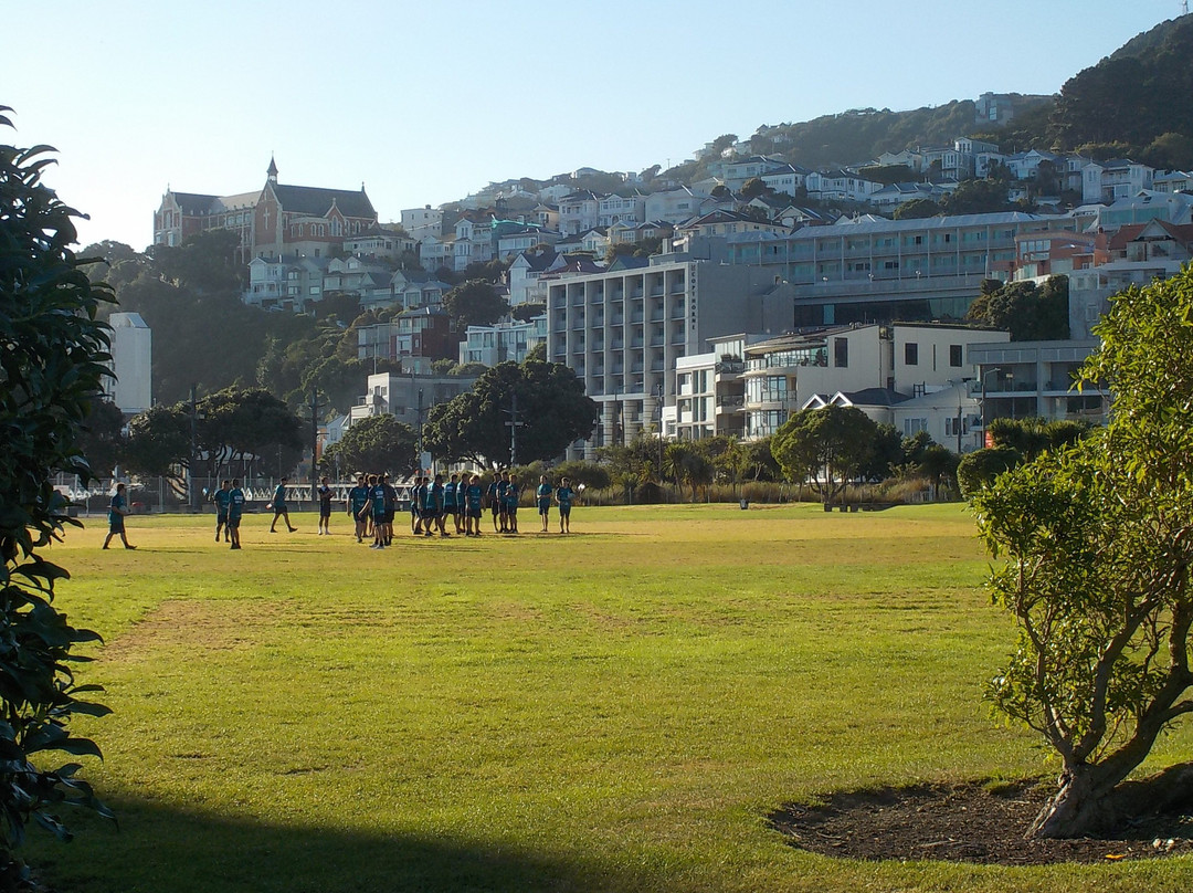 Waitangi Park-惠灵顿必去景点