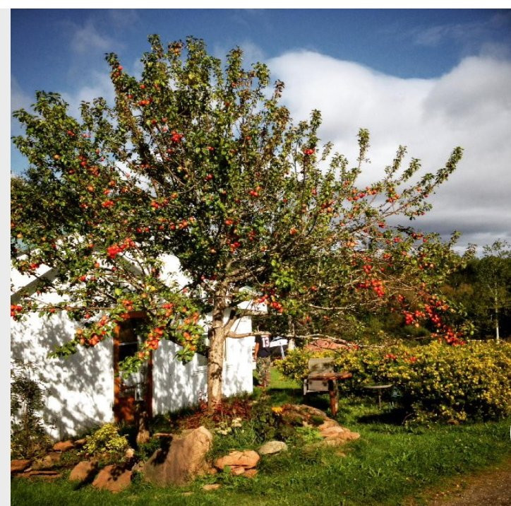 Gîte Aux jardins de l'Anse主图