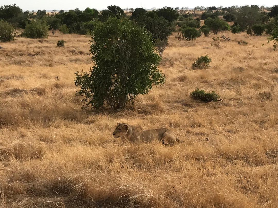 Victory Expeditions-马林地必去景点