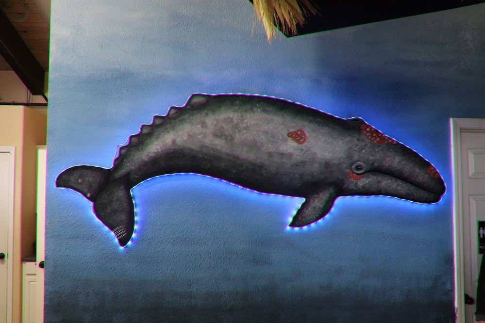 Whale, Sea Life and Shark Museum-Depoe Bay必去景点