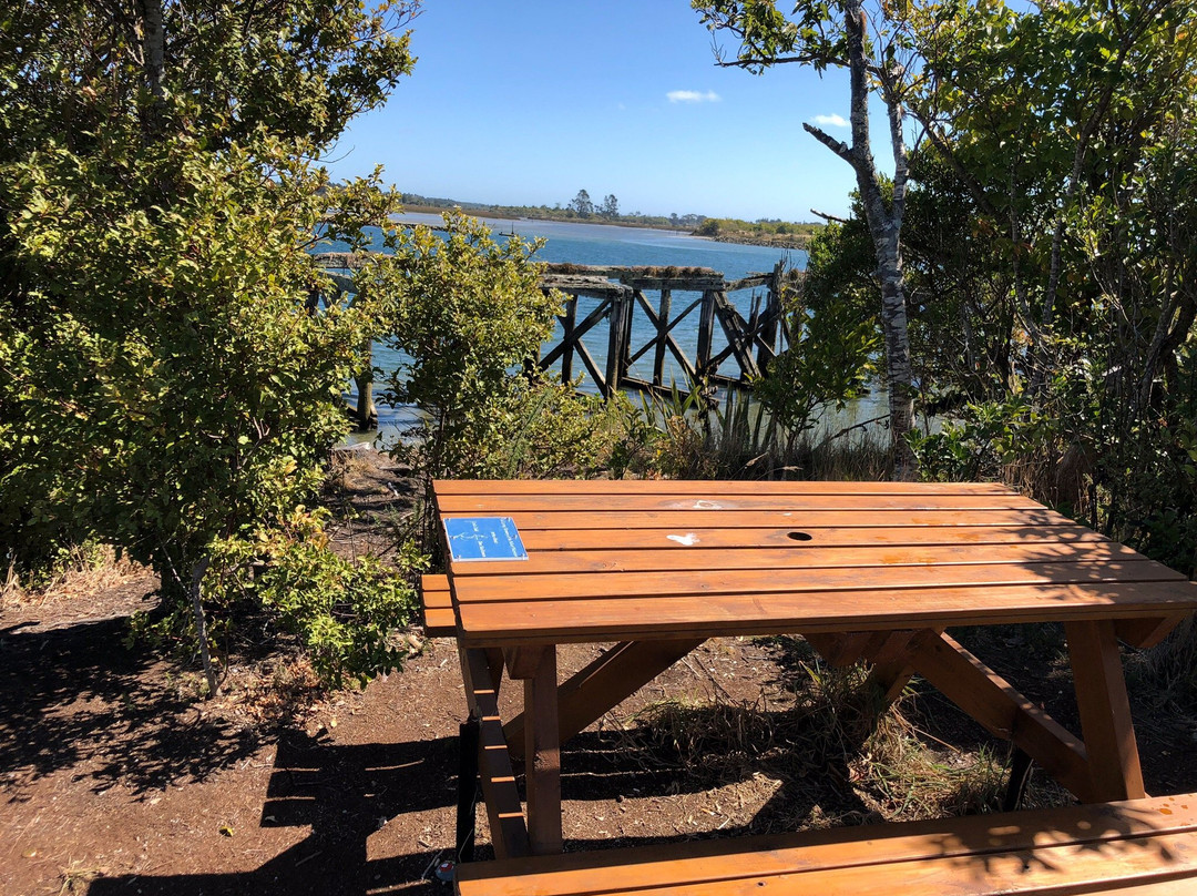 Kawatiri River Trail景点图片