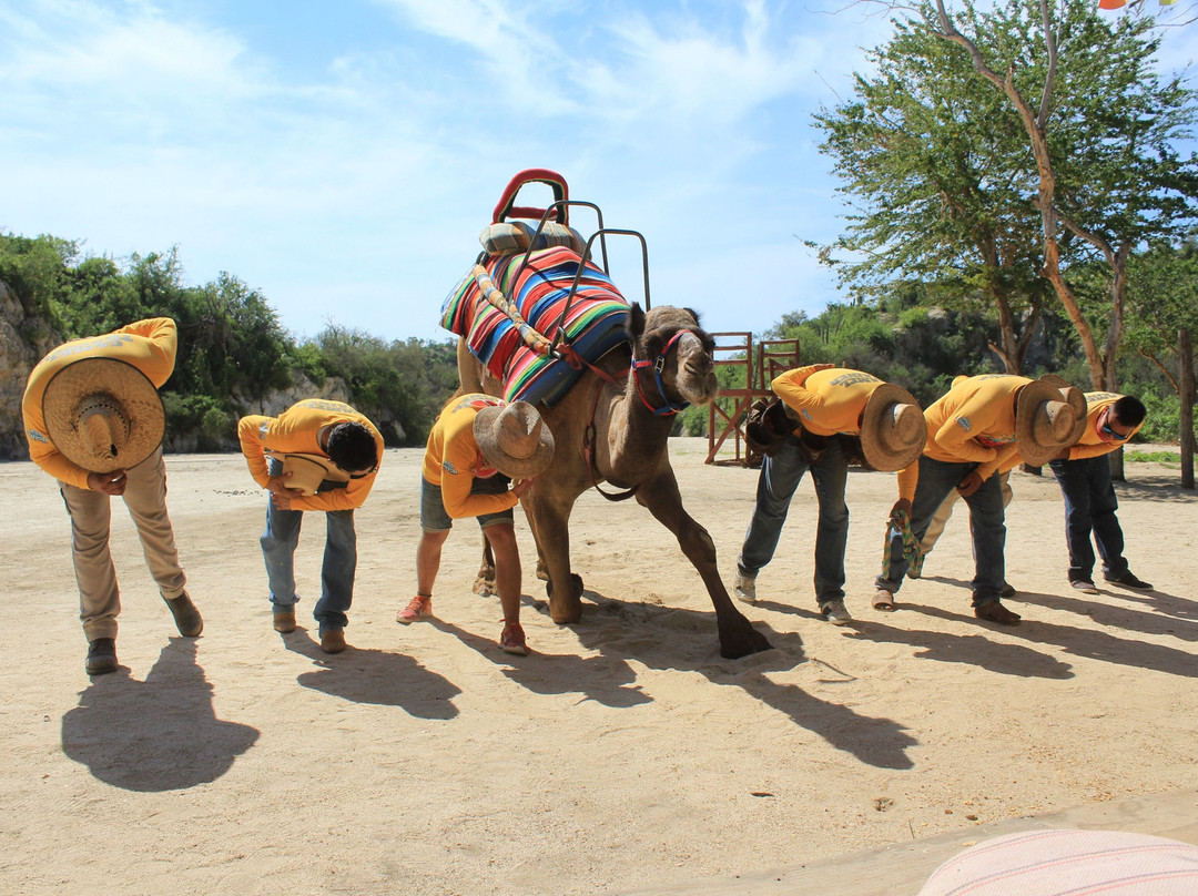 Wild Canyon Adventures-卡波圣卢卡斯必去景点