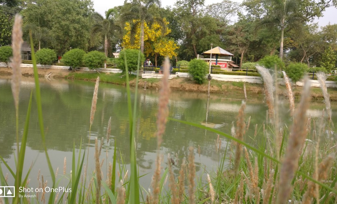 Eco Park (Rajdhani Vatika)景点图片