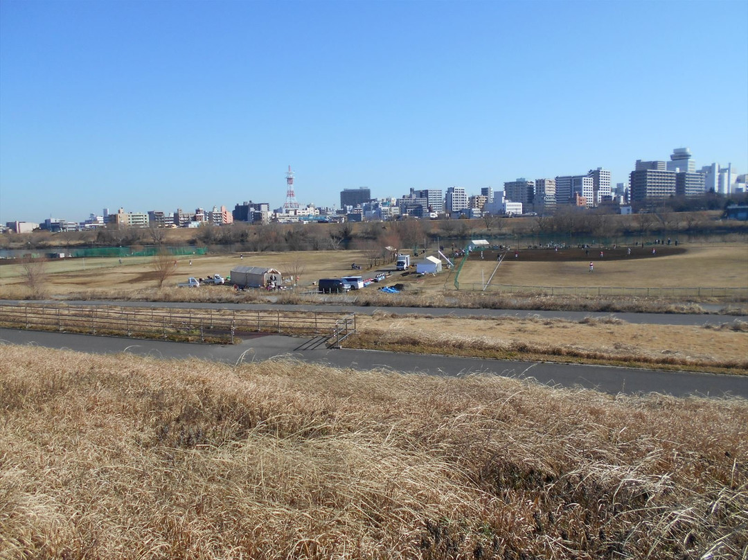 Edo River Bank-松户市必去景点