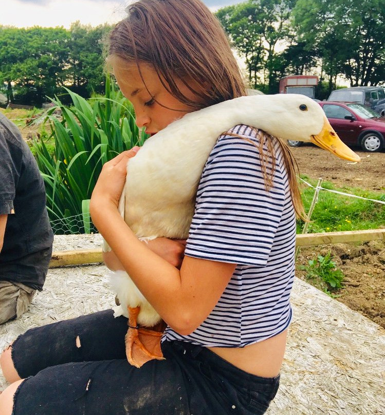 Pottery Box-Holsworthy必去景点