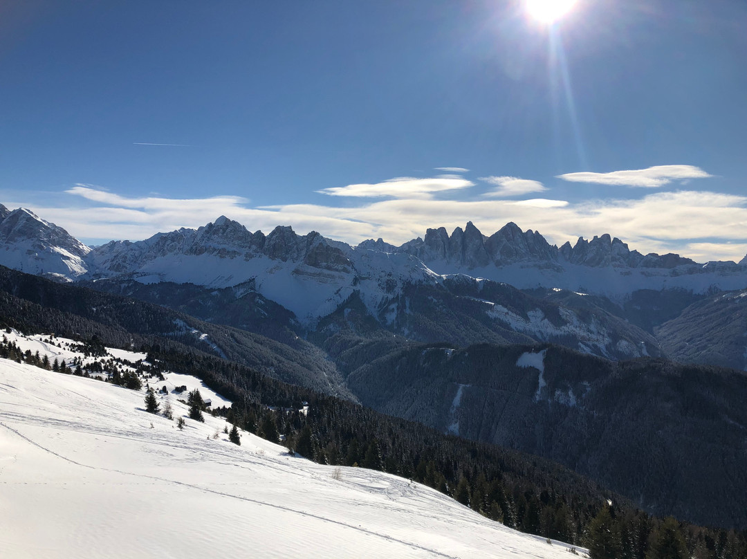 Mountain Residence Alpenhof主图