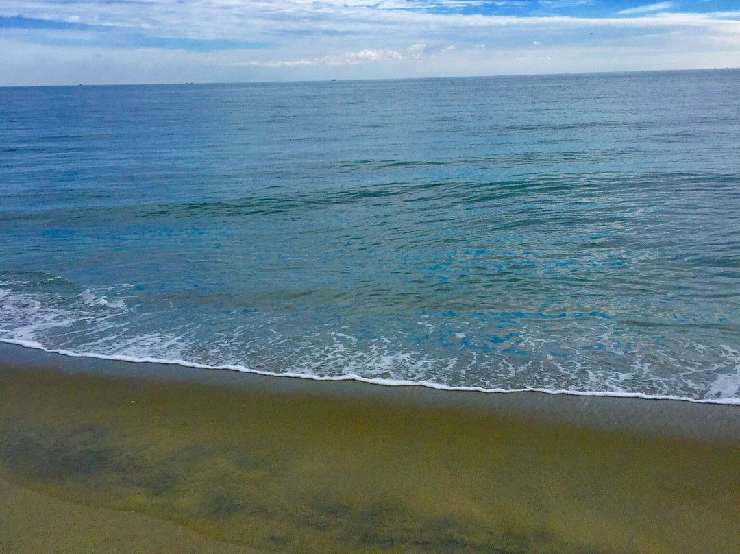 Island Beach Motor Lodge主图