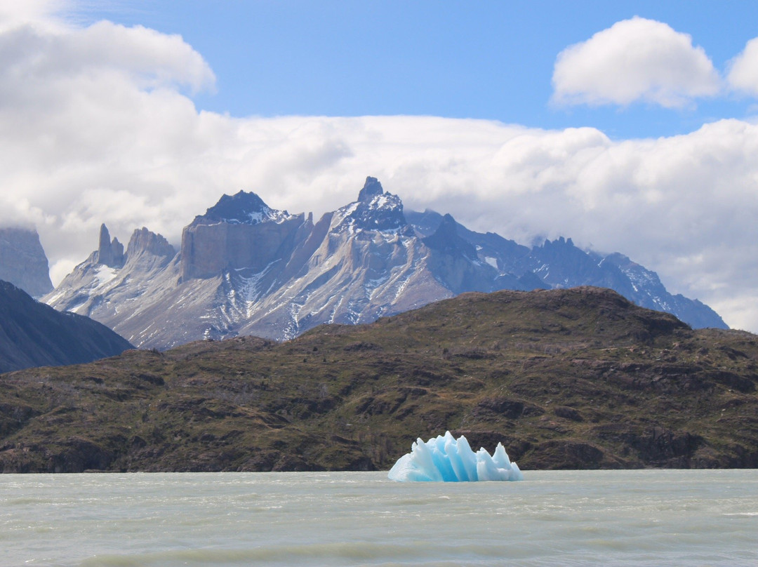 W Circuit Patagonia-纳塔莱斯港必去景点