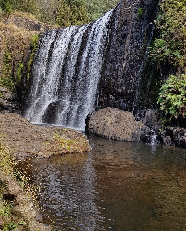 Australian Wild Harvest-伯尼必去景点