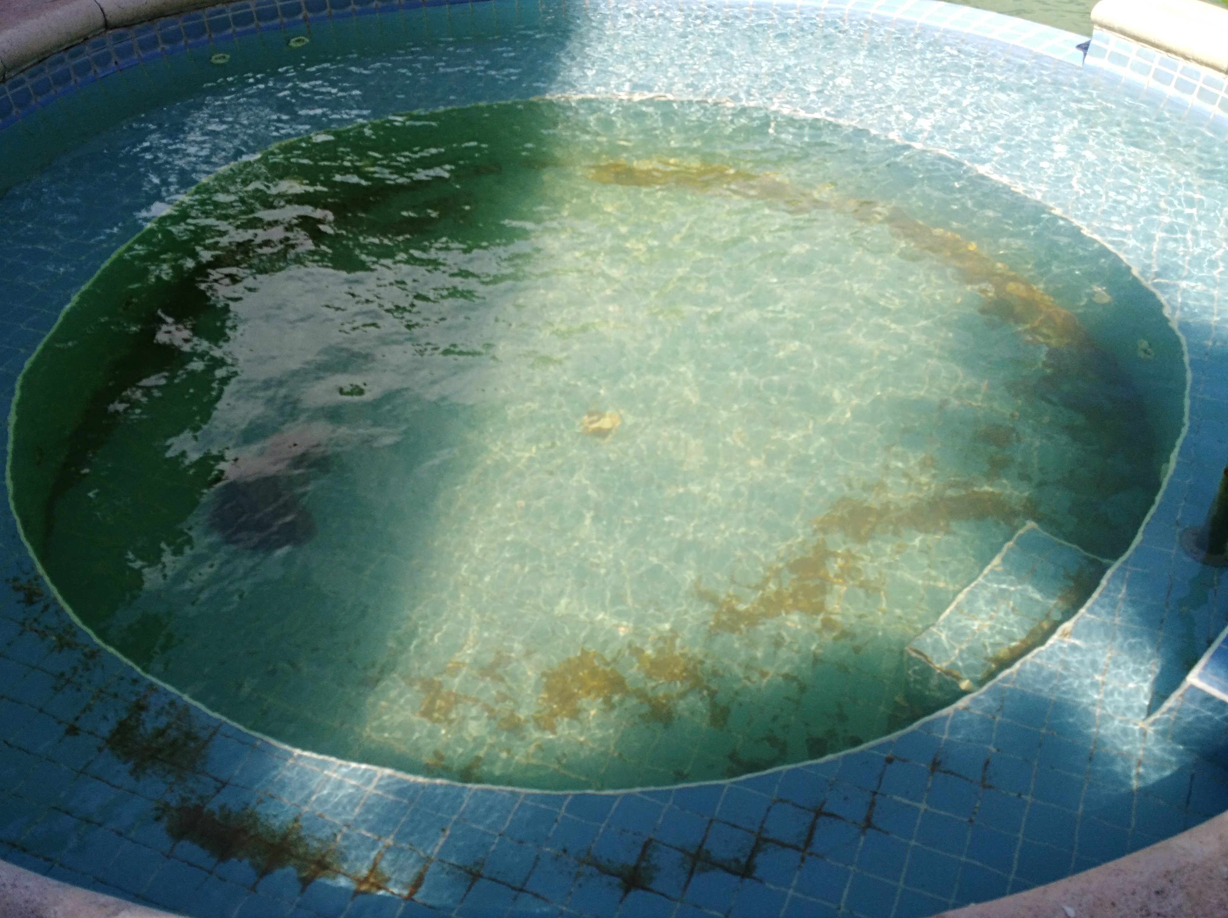 Marcin Hotel Carilo-泳池