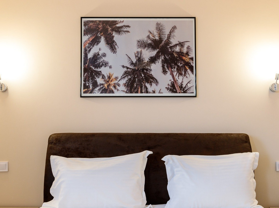 Pensiunea Select Central主图