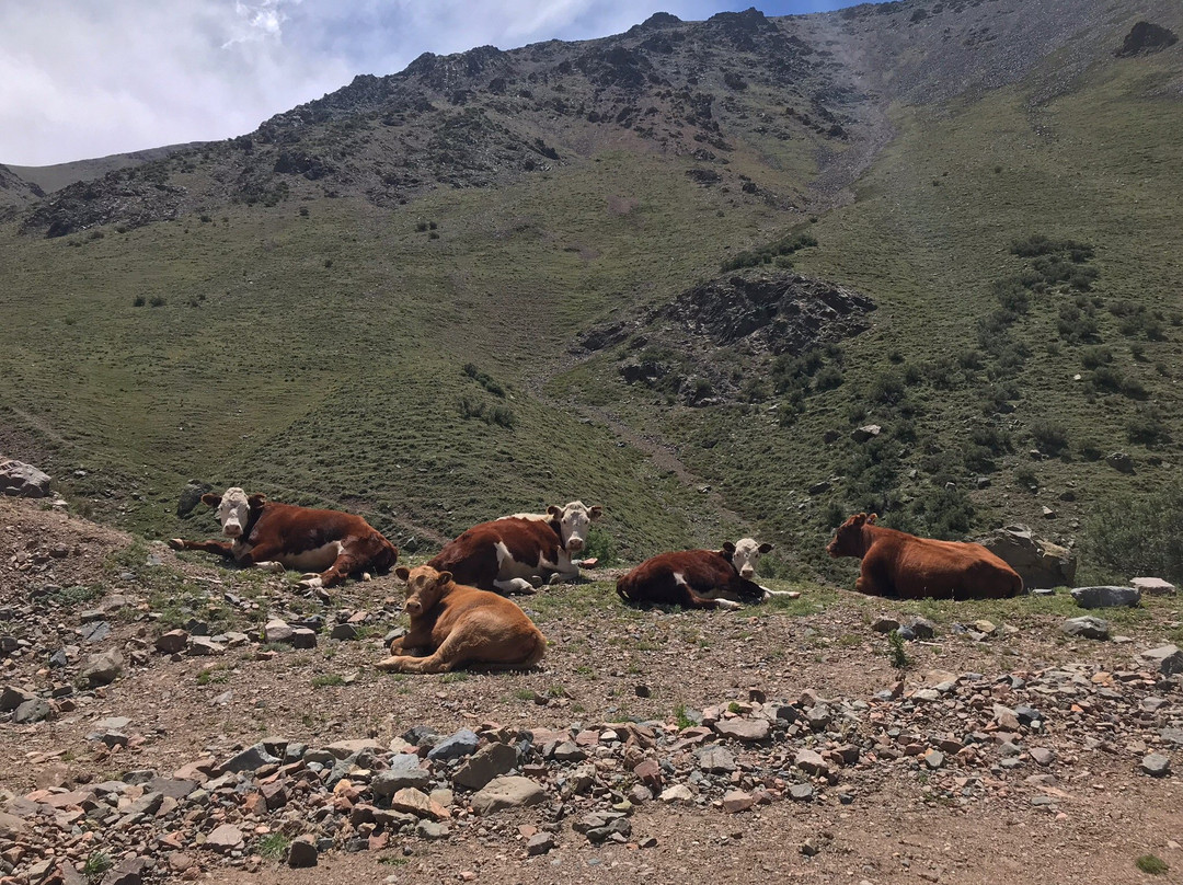 Vallecito-Potrerillos必去景点
