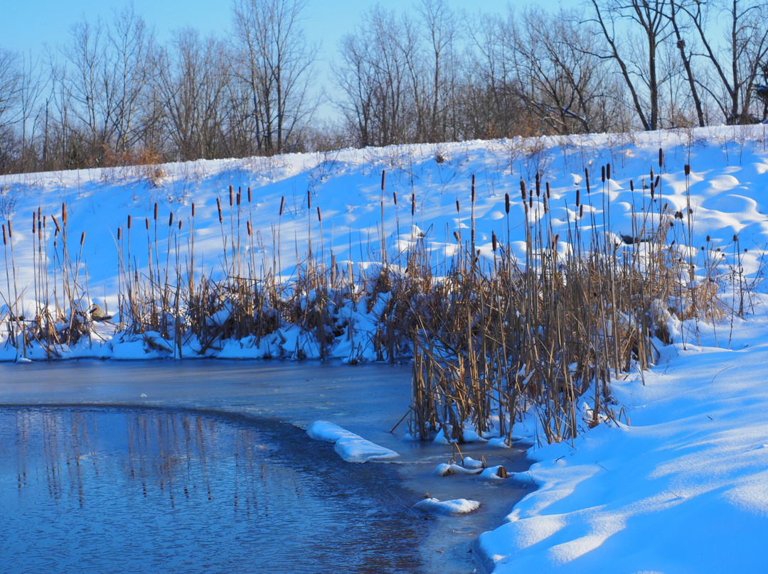 Carriage Hill MetroPark-代顿必去景点