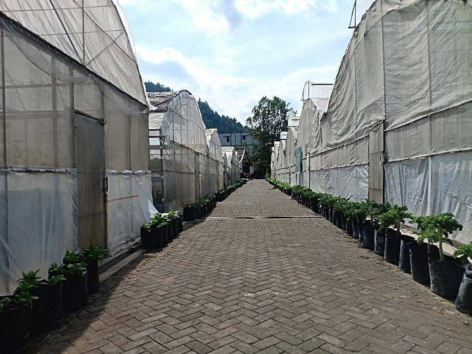Kusuma Agro Wisata景点图片