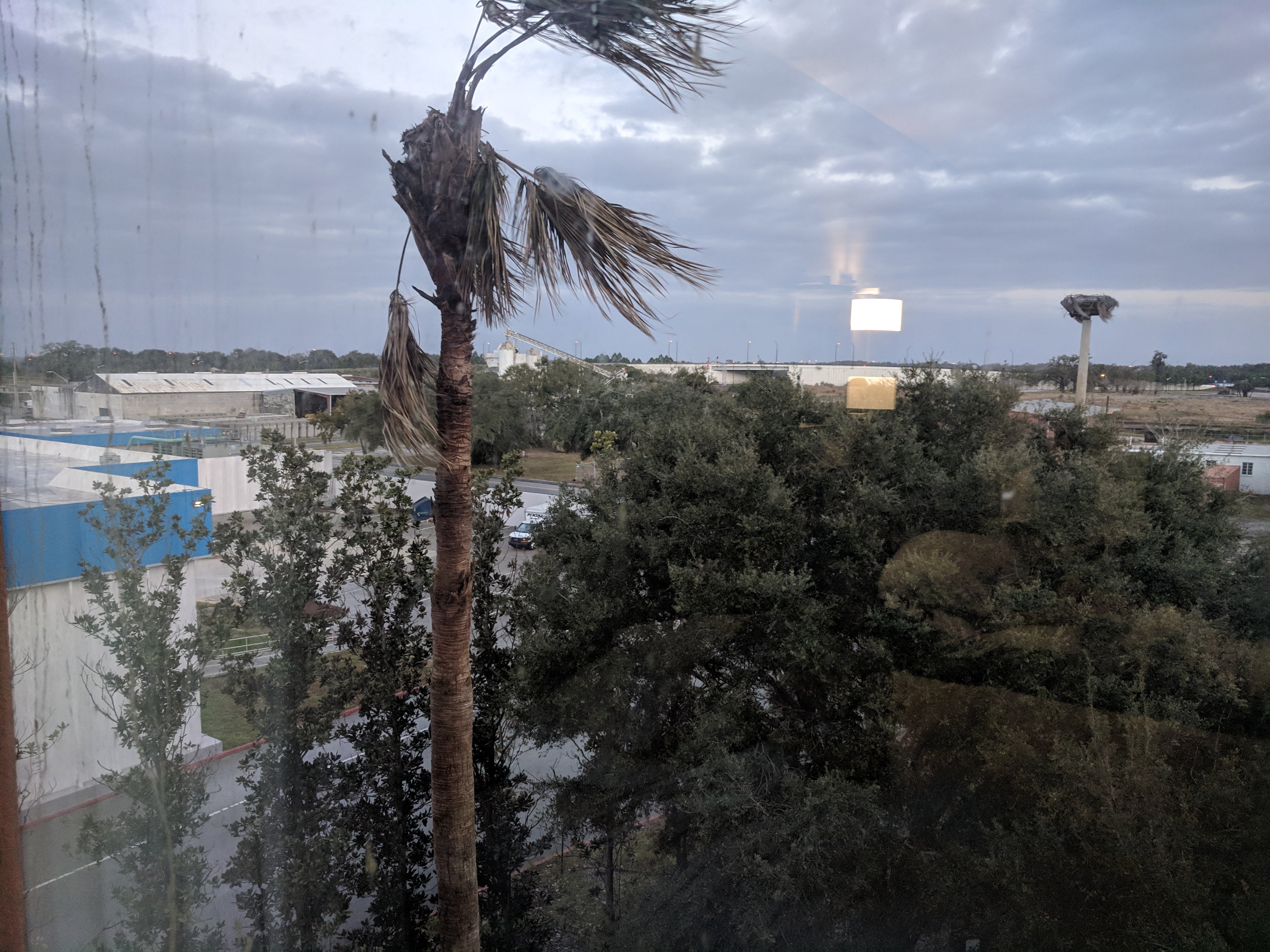 Hyatt Place Lakeland Center-酒店景观