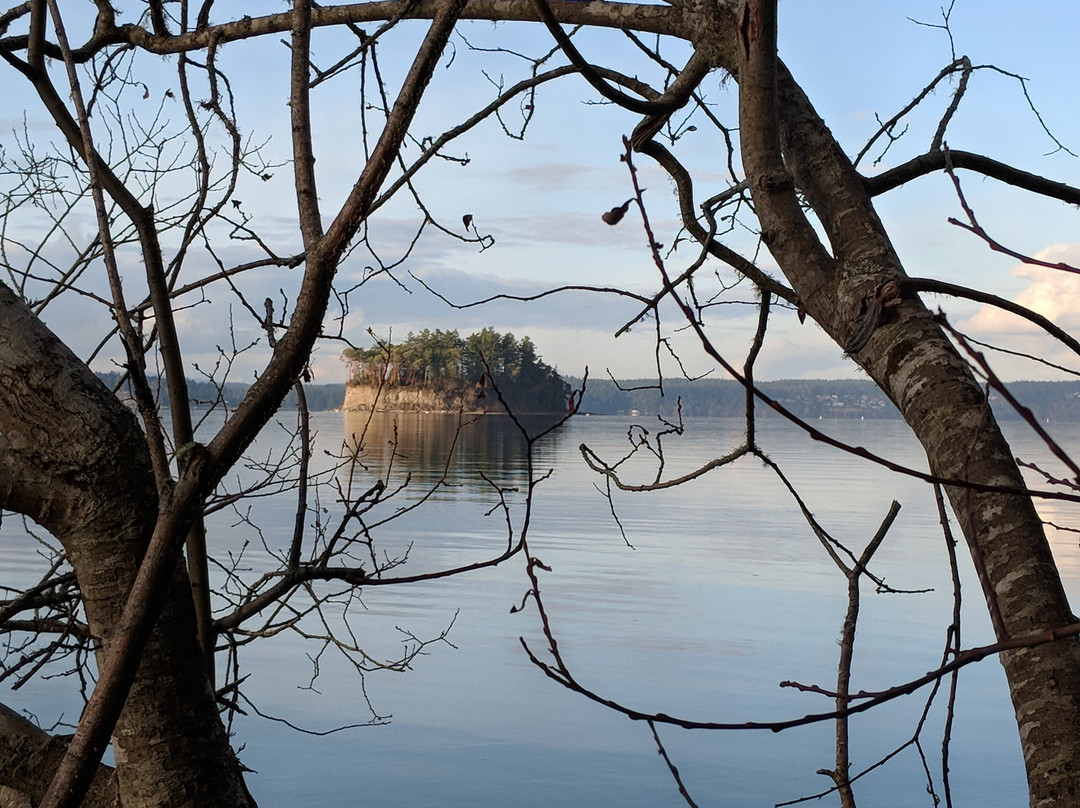Kopachuck State Park景点图片