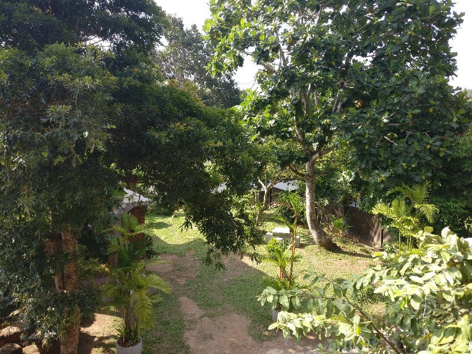 Jasmine Resort Thalalla主图