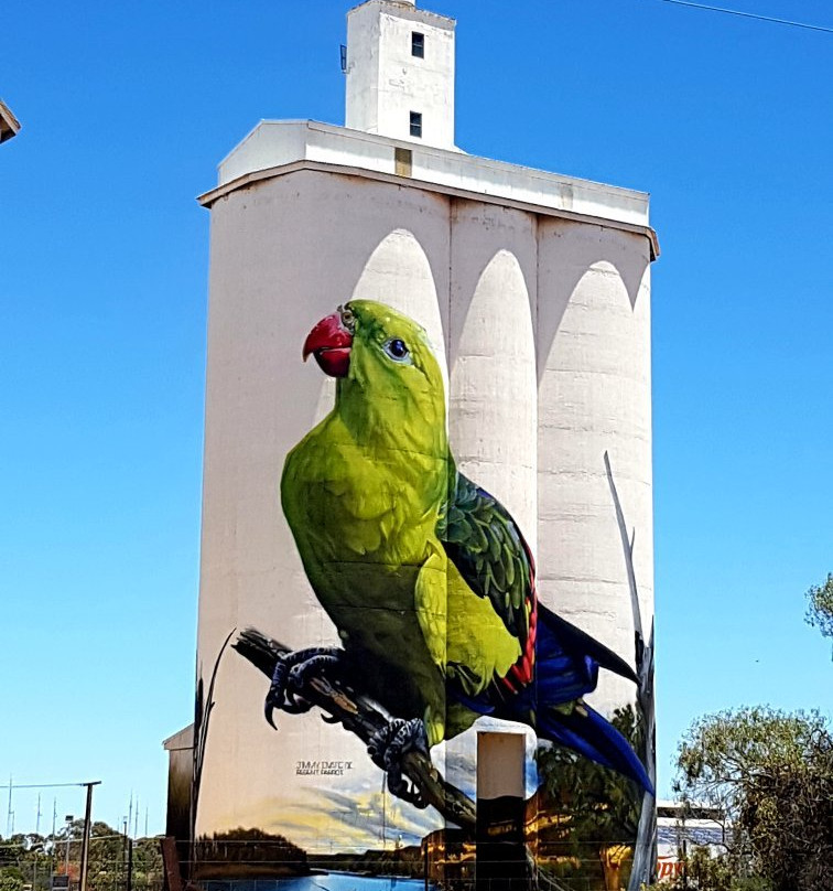 Waikerie Silo Art景点图片