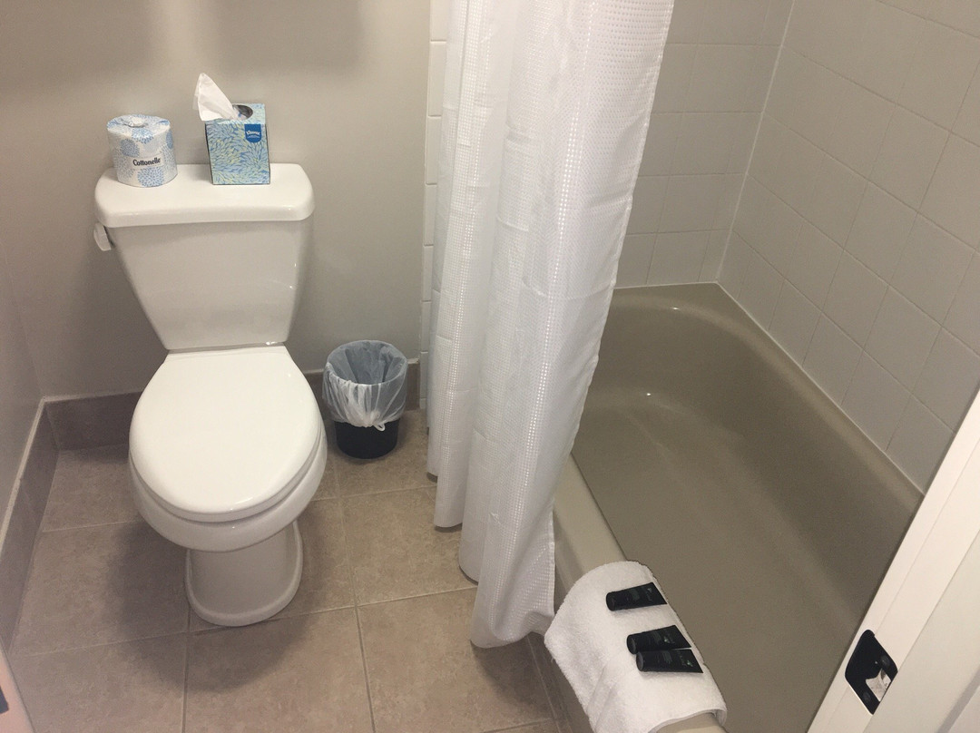 The Belmont Hotel主图