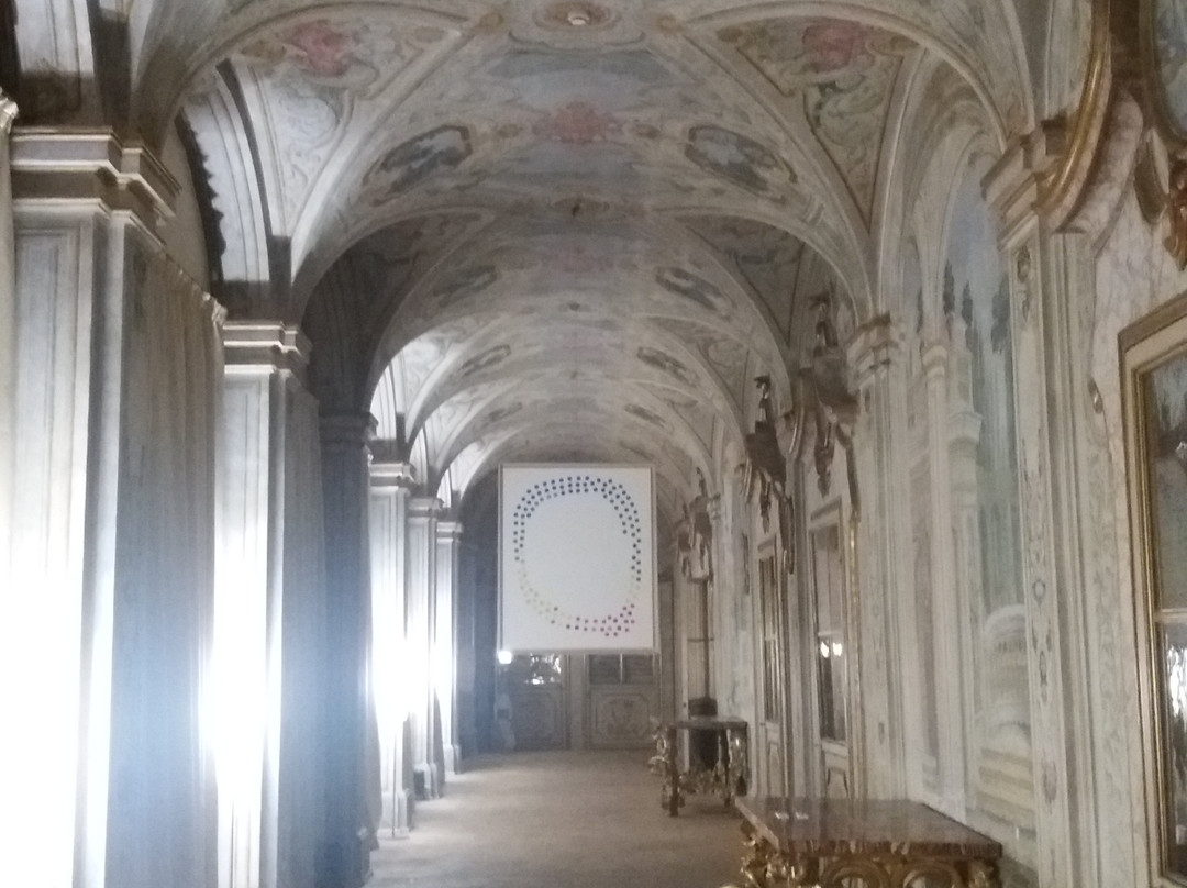 Palazzo Collicola Arti Visive景点图片