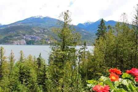 Bougainville Lodge B&B主图